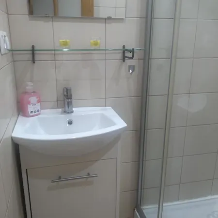 Przy Szpitalu Kopernika W Lodzi Apartment *