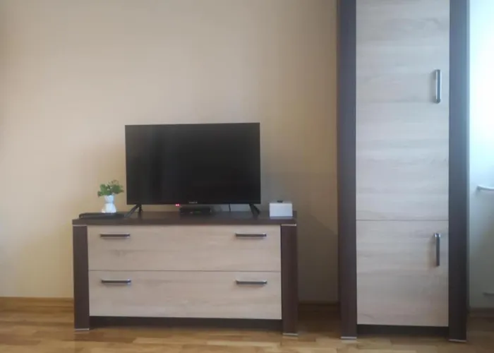 Lejlighed Przy Szpitalu Kopernika W Lodzi