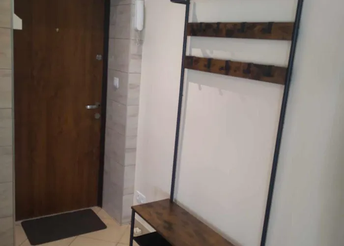 Lägenhet Przy Szpitalu Kopernika W Lodzi *